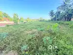 21.5 Cent Residential Plot for Sale – Road Access