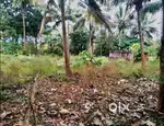 20 cent residential plot for sale in Pazhayannur, Thrissur.