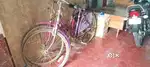 Avon cycle old