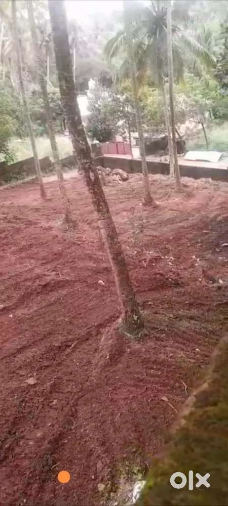 15 cent rectangular plot, Hard soil,