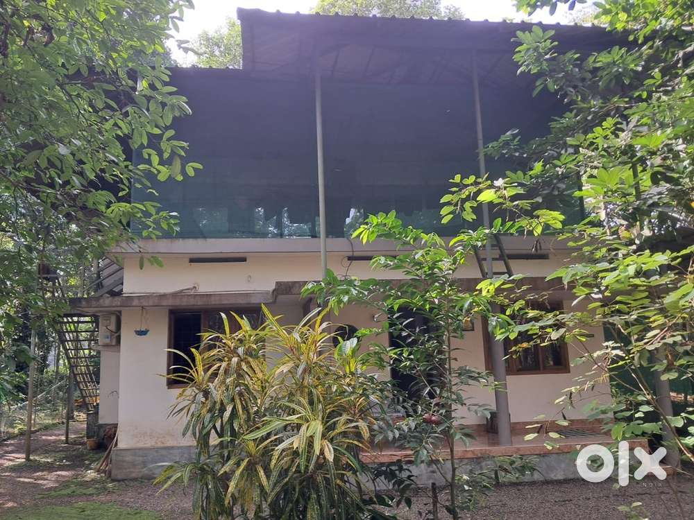 15 cent plot for urgent sale,