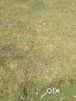 LAND FOR SALE AT HAIDER PAPA