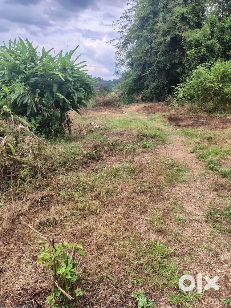 15 cent plot for sale