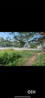 20 cent land adjacent to NH 66