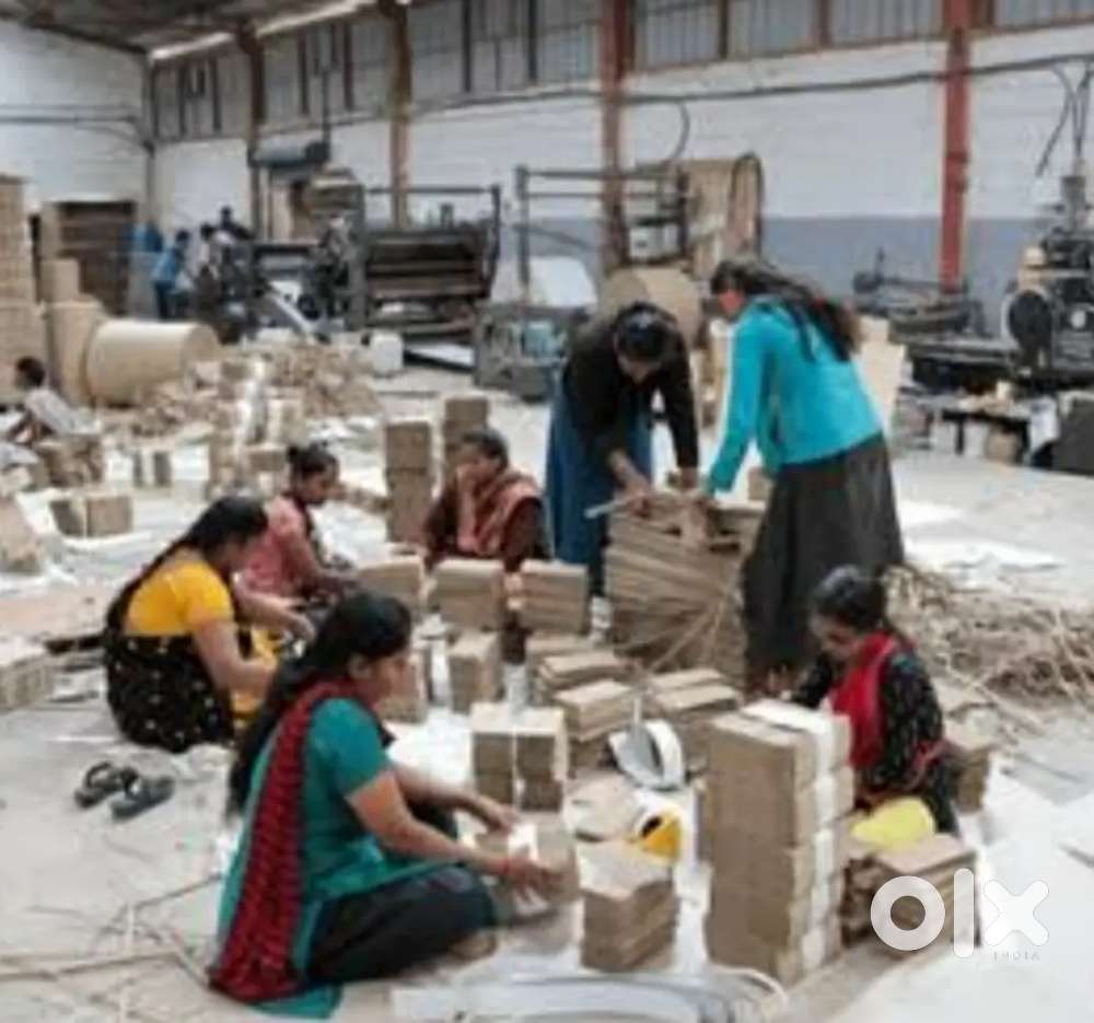 Packing boys and girls