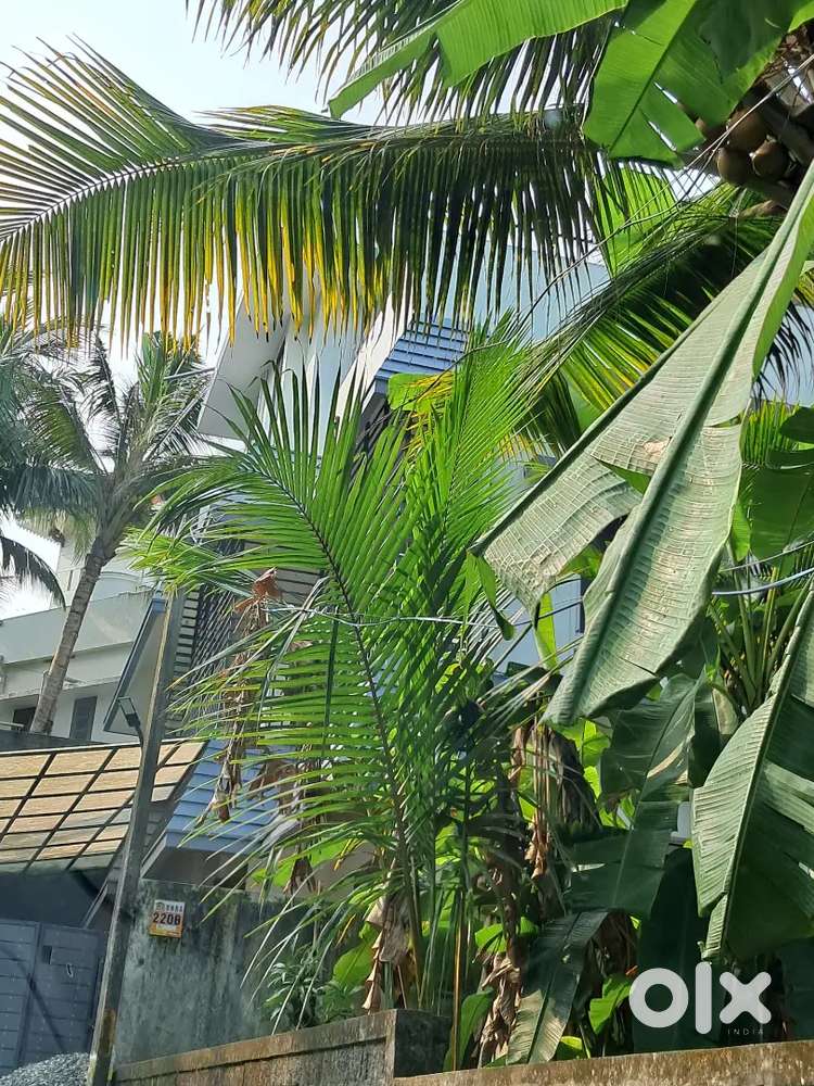 4 Bed Room House for Rent at Thirumala