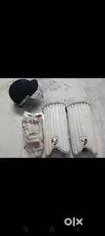 Cricket kit