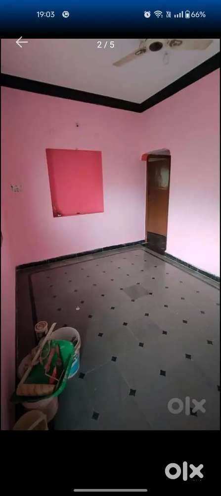 House for rent vegetarian only