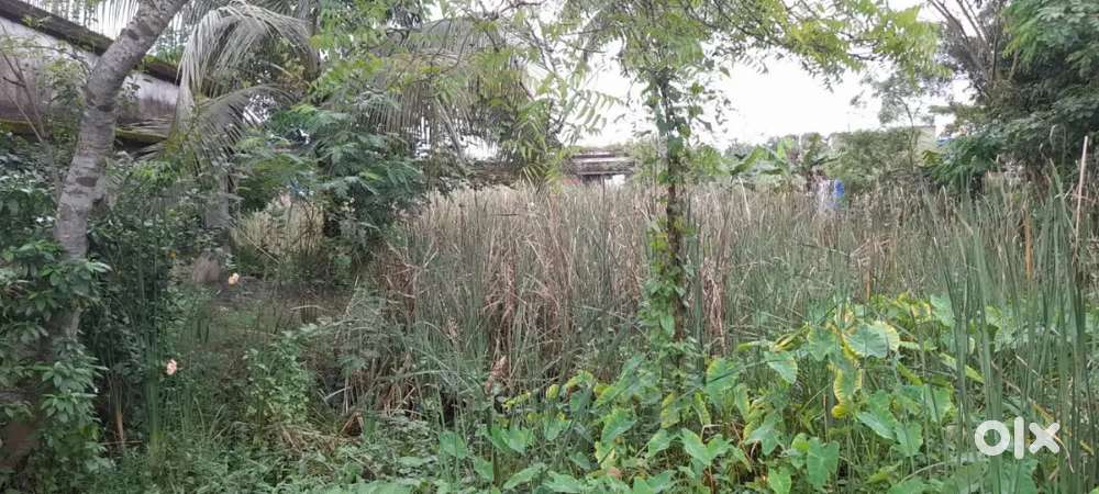 Kali kapoor railway station 5 minutes waking distance