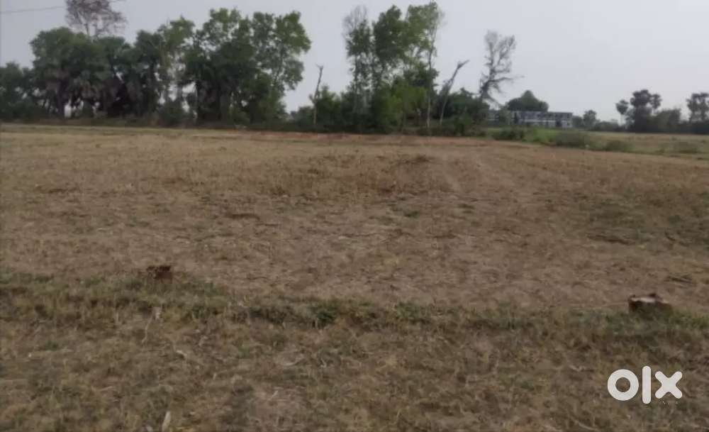 730000/katha Urgent plot for sell near pothahi Rly station