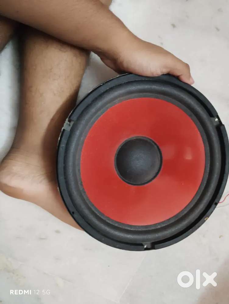10 inch size good quality woofer cum speaker 4 ohm 80 watt