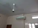 Room available only for girls