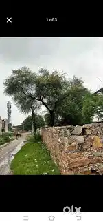 Radha Krishna mandir ke pass goner road 58 gaj