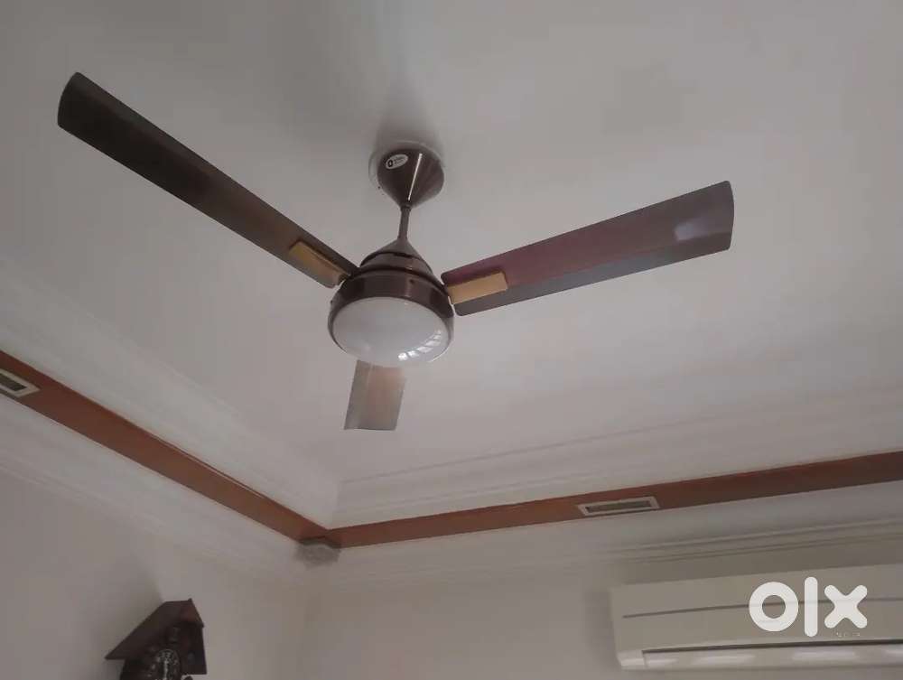 Fan for house