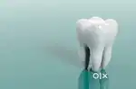 Dental clinic assistant ( Female )