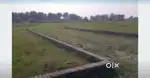 Registry land, CNT Free plot