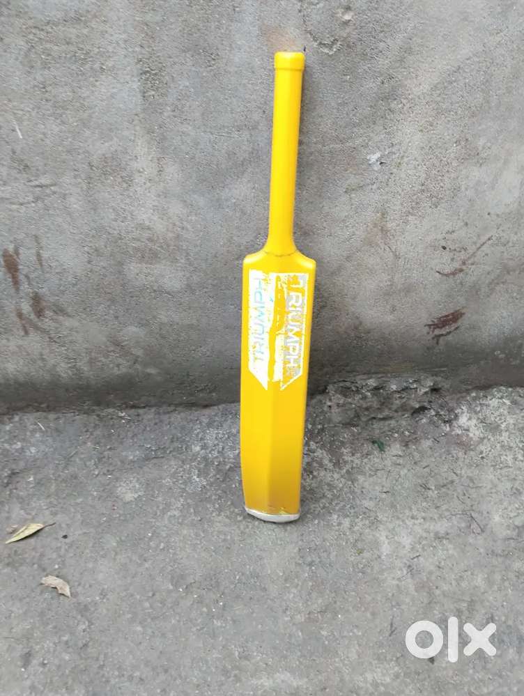 Cricket fibre bat