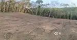 Plot for sale