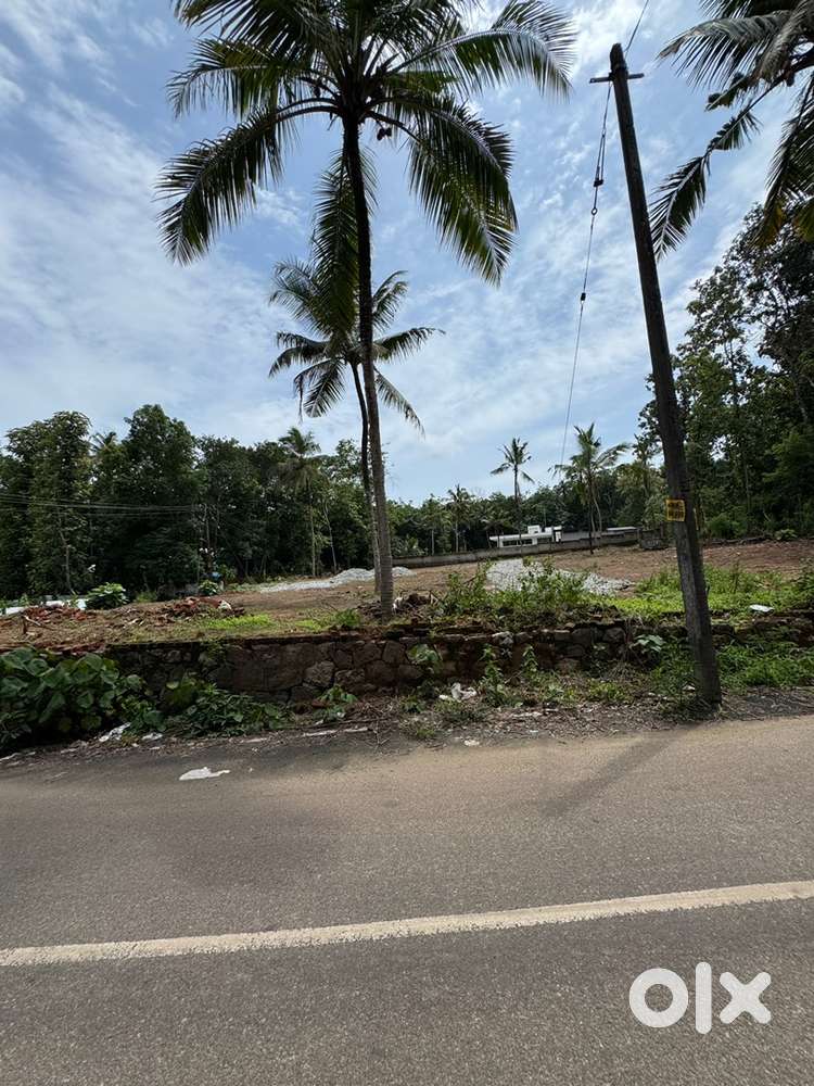 6,10,15 cent plots available in arumurikkada