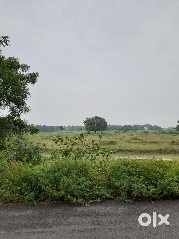Gharabari  Plot for sale in Padasahi Near Nandan Kanan Rs.1cr