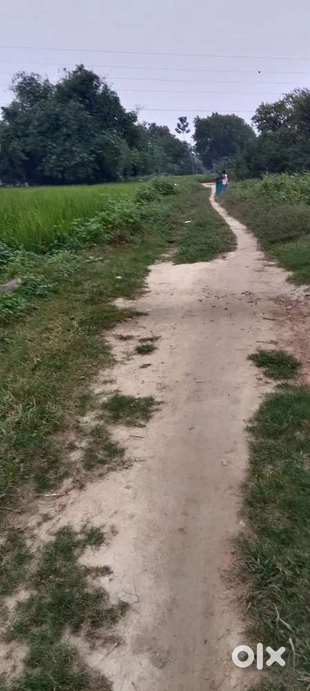 रिंग रोड बेलवरिया चौक मुर्दहा वेल डेवलपमेंट कॉलोनी