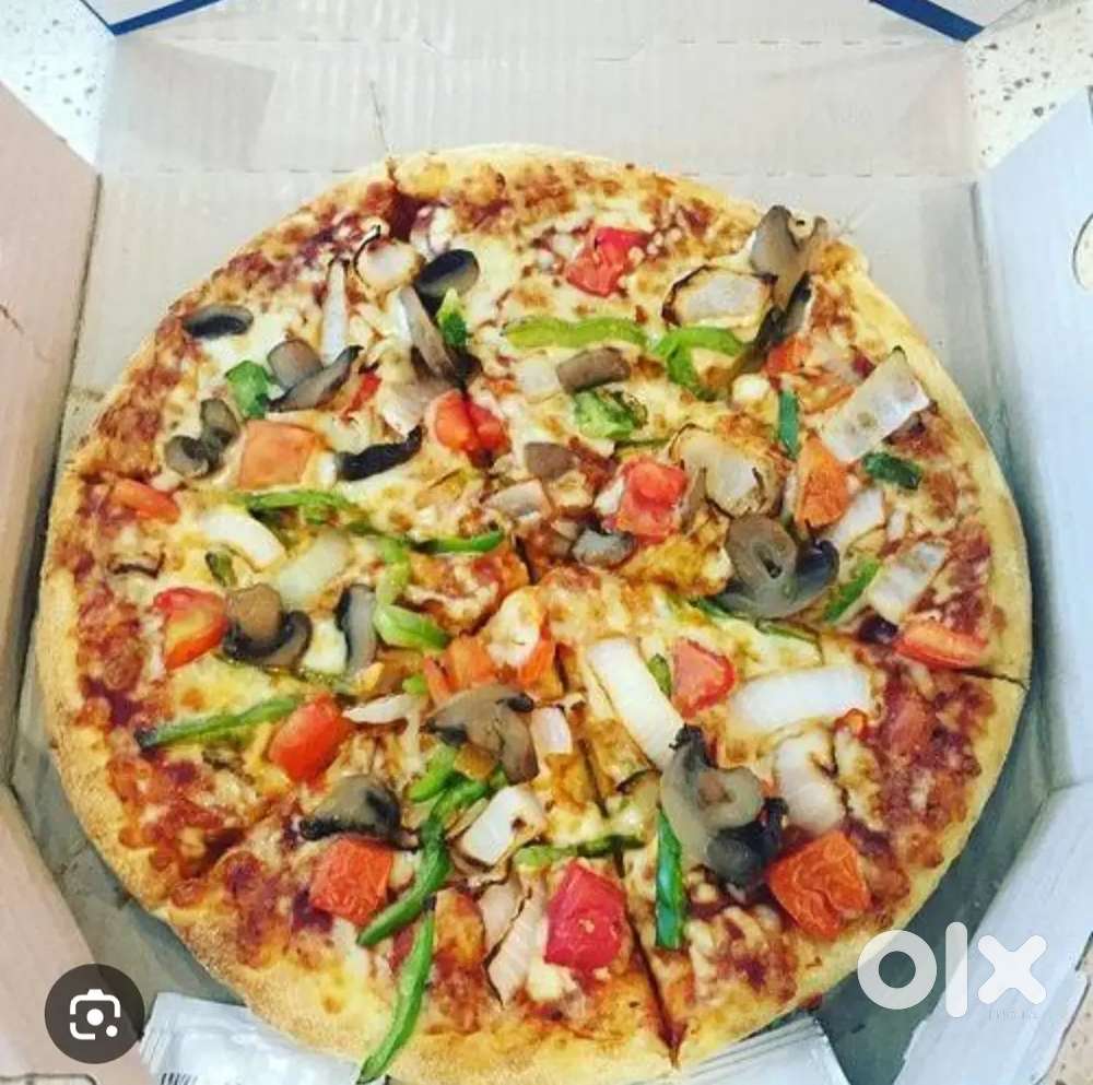 We are looking for pizza delivery executive for dominos ⁴⁵