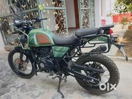 ROYAL Enfield Himalayan Pine Green
