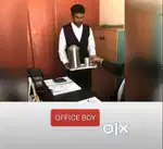 Office boy jobs