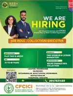 COLLECTION EXECUTIVE