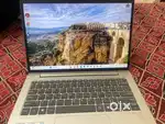 2 month old Hp pro book 445g11 with rayzon processor