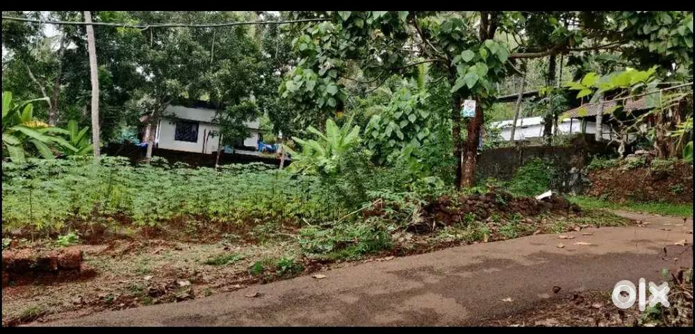 16.35 cent plot in padanilam 1.5 km from NH. 2 side road