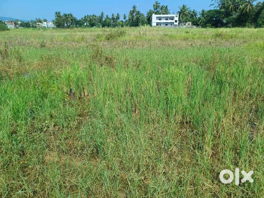 LAND FOR SALE 37 CENTS WITH 40 FEET ROAD  AVAILABLE FRONT OF SITE