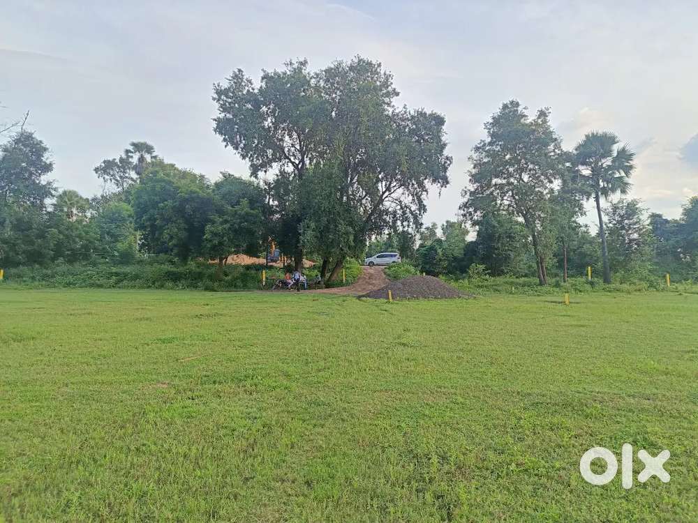 Plots for sale Patna (bihta)