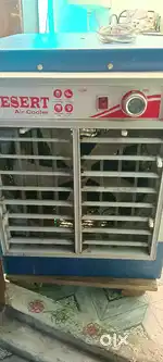 Cooler 50+ water capacity