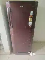 LG 236 Litres Flower Design Fridge for Sale