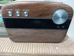Saregama Carvaan Bluetooth Speaker