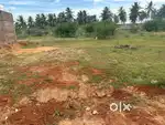 Land for immediate sale