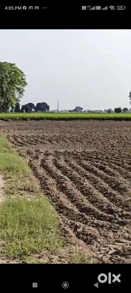 17 acre Agriculture land with 7 acre road front in Navanshahar