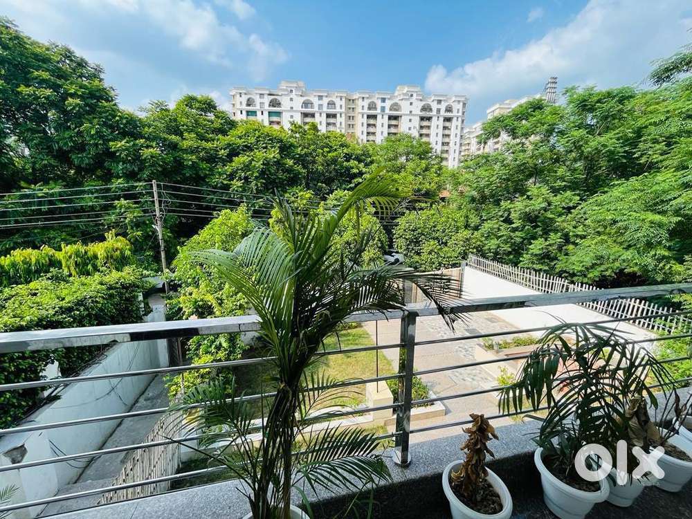 Homys pg gurgaon