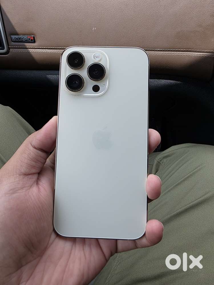 14 pro max