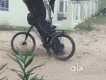 UIEASEL super cycle