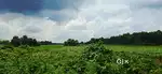 Land sale in Bankura district, Sonamukhi Block