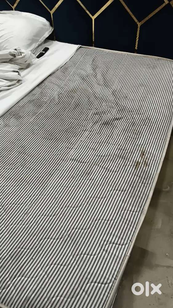 Fast Food Shop Helper Required