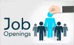 Required telecaller home based