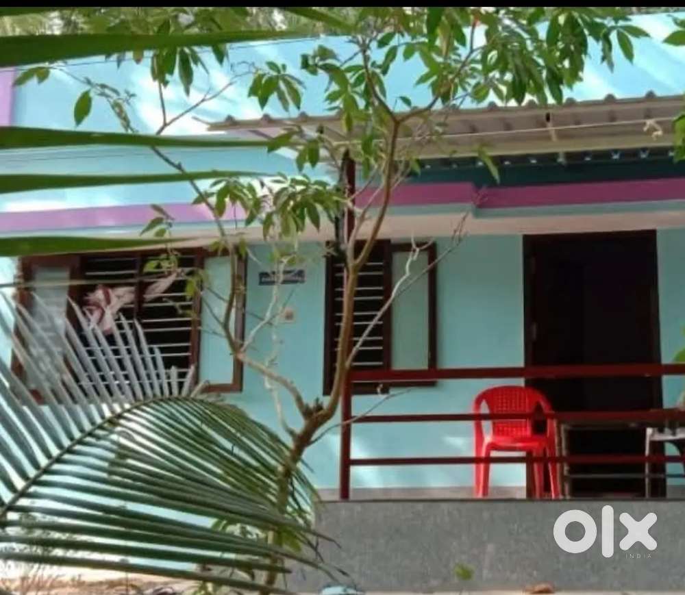 House and plot for sale