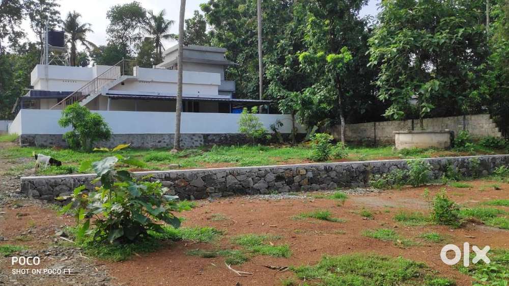 7.25 & 7.75 Cents Residential plots for sale at Puliyanam, Angamaly