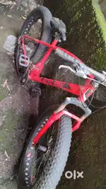 Cycle condition me hai