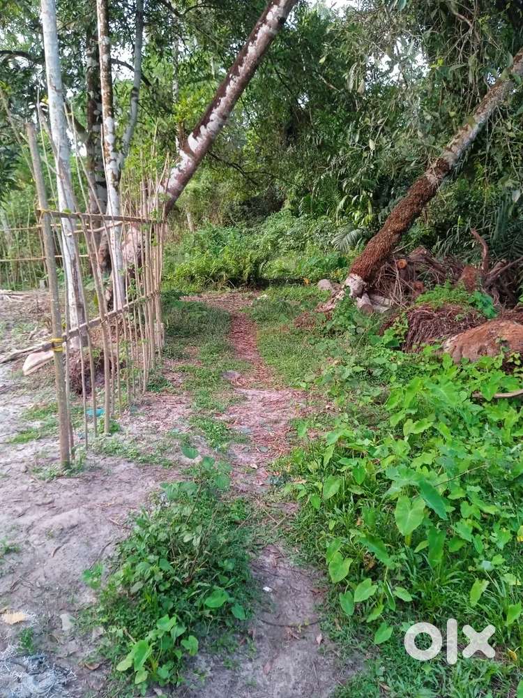 വേറെ വീട് നോക്കുന്നു