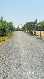 Farmhouse land in Rau/Farmhouse in indore