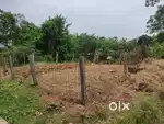 1.59 katha land in Birsingha for sell